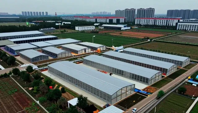 软装搭配施工中常见问题的处理与优化策略